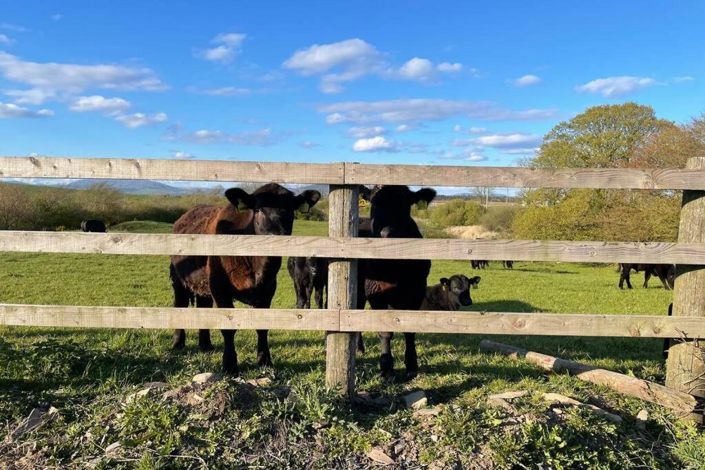 Galloway Farmstay Broughton Newton Stewart Buitenkant foto