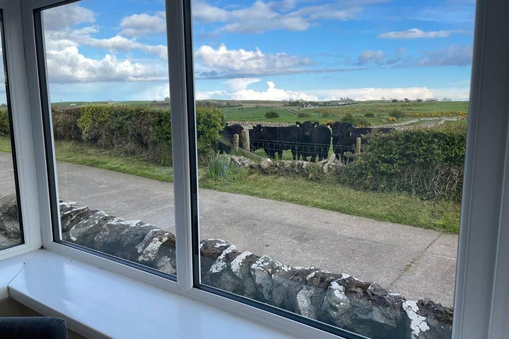 Galloway Farmstay Broughton Newton Stewart Buitenkant foto